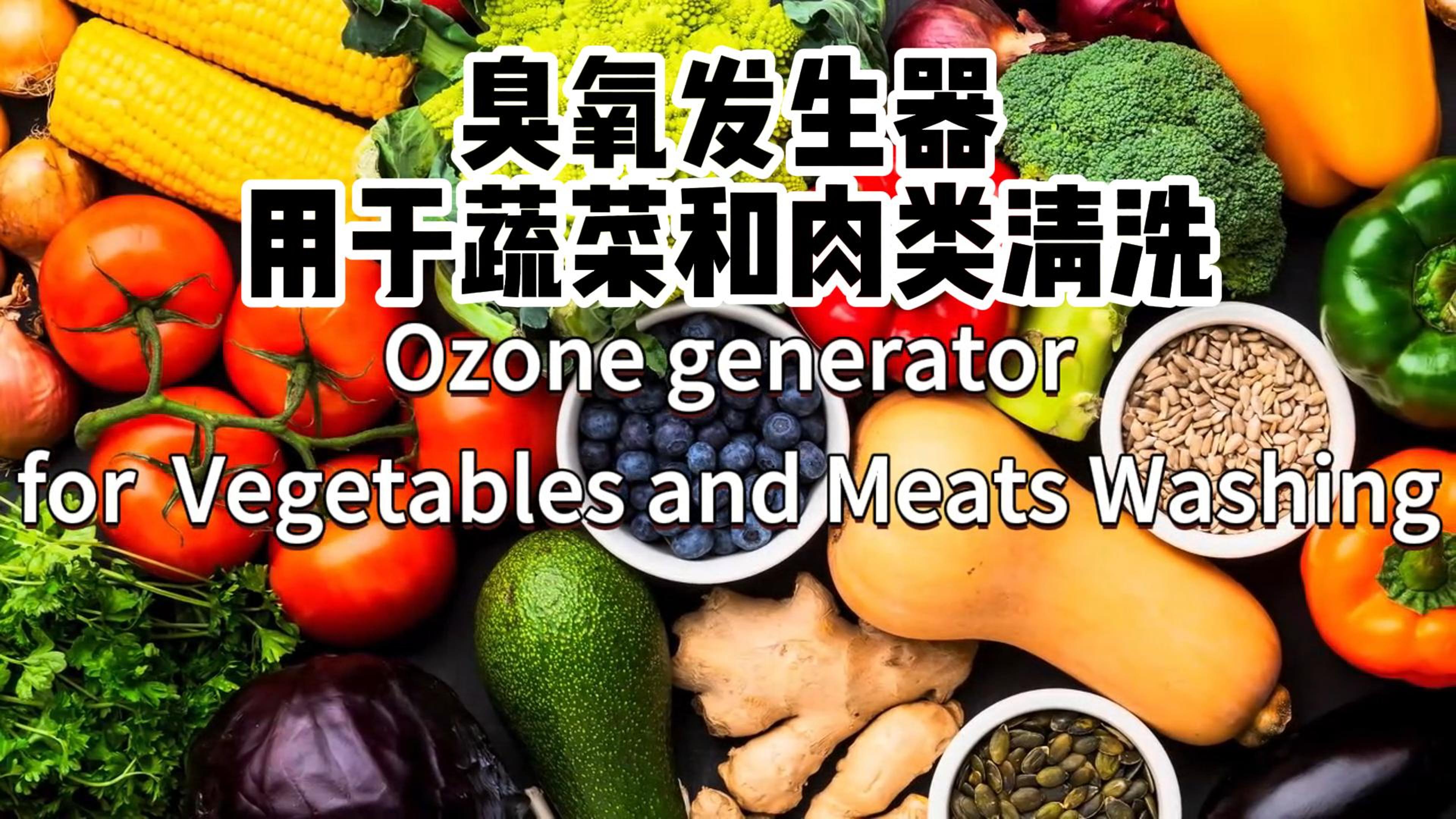 臭氧發(fā)生器在食品加工和儲(chǔ)存過程中用于蔬菜、水果和肉類的消毒